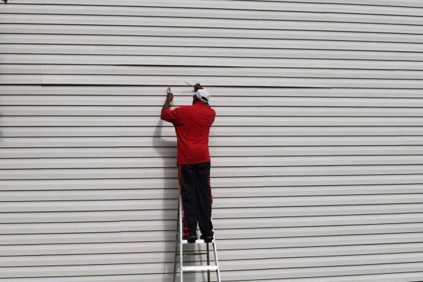 Best Siding Painting and Refinishing  in Rden City, GA